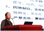 中医传统疗法高峰论坛：岭南和海派国医大师交锋盛会 - Jsr.Org.Cn