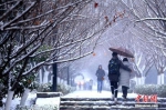 1月3日，西安迎来今年的第一场降雪，纷飞的雪花使整个古城“银装素裹”，当地民众乐赏美丽雪景。王晓凯摄 - 新浪江苏