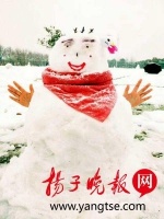 盐城大学生堆花式创意雪人 网友直呼：太萌了！ - 新浪江苏