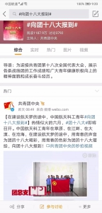 @江苏青年们，是时候亮出你们的身份了！向团的十八大报到！ - 新华报业网