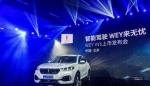 VV6智慧来袭 引领WEY来新境界 - Jsr.Org.Cn